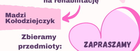 Zbiórka fantów na loterie